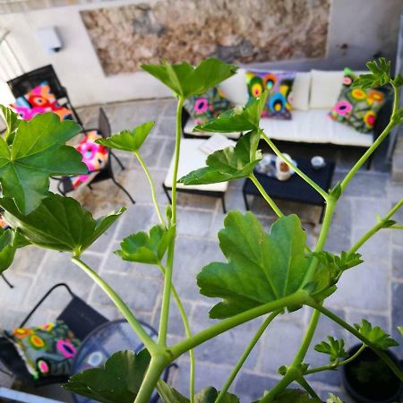 Cres Art Studio Lime Apartment 외부 사진